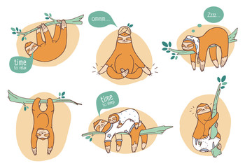 Poster - Collection of funny sloths in different postures. Lazy exotic animal sleeping, napping and relaxing on tropical tree branch. Cute cartoon character doing daily things. Colorful vector illustration.