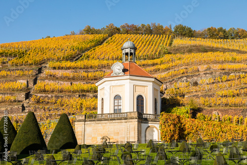 Zdjęcie XXL Radebeul z zamkiem Wackerbarth i Jacobstein w winnicach na jesieni