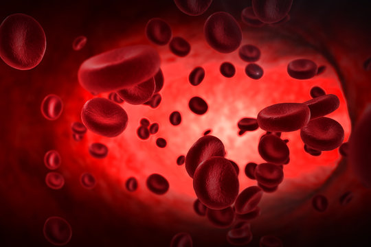 3D rendering red blood cells in an artery, flow inside body, medical human health-care