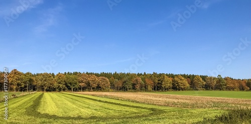 Plakat Piękna krajobrazowa panorama z świeżo skoszonym polem przy krawędzią las