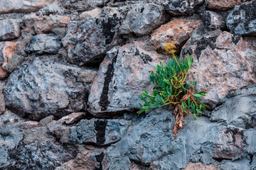 outdoor stone wall