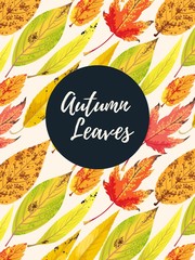 Canvas Print - Autumn card with leaves