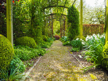 The Entrance Pergola To The Garden During Spring, Flanked By White Daffodils And Crocuses, Belgium