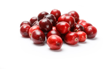 Wall Mural - red cranberry fruit