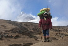 A Porter Carrying Heavy Loads For An Expedition In The Himalayas.
