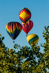 Wall Mural - Balloons and Trees