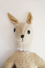 Old And Loved Childhood Teddy Rabbit