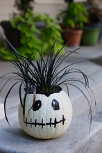 White Pumpkin With Black Skull Face Hollowed Out To Hold Black Grass