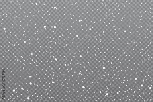 Cuadros en Lienzo Realistic falling snow on transparent background