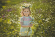 © TwinkleStudio - Cute blond young girl child stylish dressed in white shirt wearing wreath of daisy chamomiles posing on meadow of forest wild mayweed.Adoreable scene
