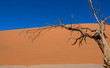 Trockengebiet, Wüste Namibia