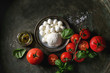 Ingredients for italian caprese salad. Mozzarella balls, buffalo in metal vintage plate, tomatoes, basil leaves, olive oil with vinegar over dark background. Top view with space. Rustic style