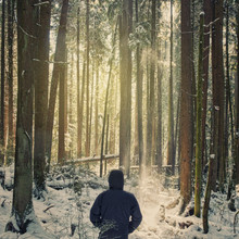 Man In The Woods In Winter