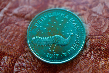 Wall Mural - Macedonia currency denar on the banknote pattern background, close up. Photo depicts Macedonian cash shiny denari metal coins, close up, macro view.