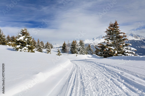 Plakat ścieżka w śniegu