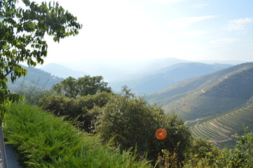 COA/DOURO VINHATEIRO