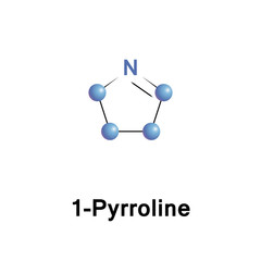 Canvas Print - Pyrrolines are dihydropyrroles