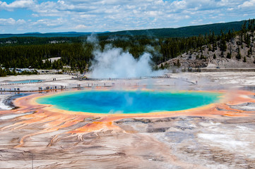 Wall Mural - Grand Prismatic Spring