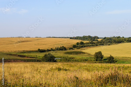 Zdjęcie XXL Kraj krajobraz z żółtymi polami i łąkami