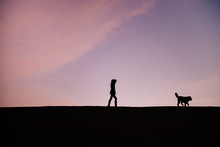 Silhouette Of A Woman And Happy Dog Walking Outside On A Cold Morning