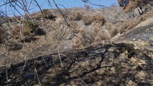 BURNT MOUNTAINS IN CALIFORNIA, IN 4K.  Slow, Wide Dollly Shot Of A Charred Mountainside.