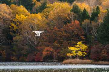 Wall Mural - flying drone in autumn forest