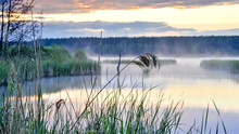 Morning Fog On A Lake