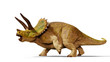 Triceratops horridus dinosaur 