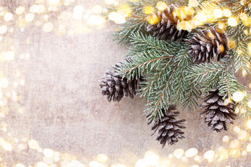  Christmas branches. Christmas greeting card. Symbol xmas.