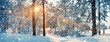 © candy1812 - Pine trees covered with snow on frosty evening. Beautiful winter panorama at snowfall