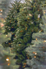 christmas tree with lights