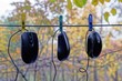 © butus - три черные компьютерные мышки на улице на проводе на прищепках