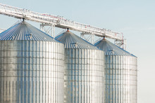 Modern Agricultural Silos Or Grain Elevator With Blue Sky On The Background. Storage Of Grain And Other Different Cereals