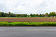 some field at roadside