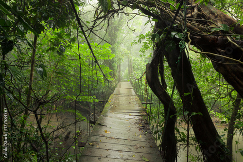 Plakat most w dżungli   stary-most-wiszacy-w-lesie-deszczowym-park-narodowy-tenorio-kostaryka