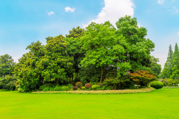 Wall Mural - parks, meadows, woods