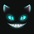Fantasy scary smiling cat face on black background.