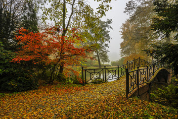 Poster - Scenic view of misty autumn landscape with beautiful old bridge in the garden with red maple foliage.