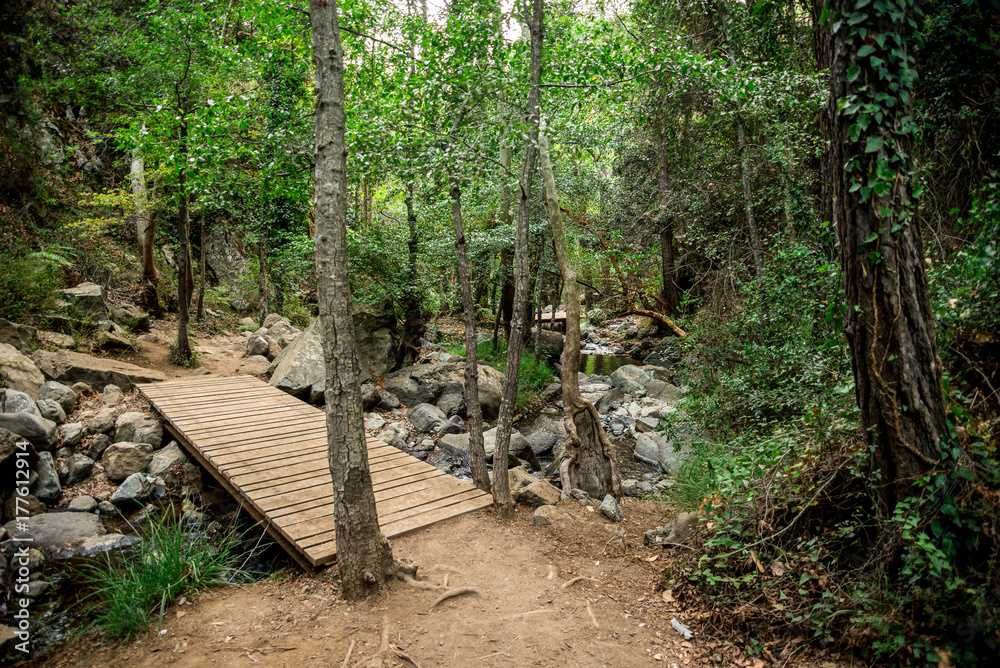 A wooden bridge over a small river on a way to Caledonia waterfall near Platres, Cyprus - obrazy, fototapety, plakaty 