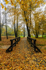 Poster - Scenic view of misty autumn landscape with beautiful old bridge in the garden with red maple foliage.