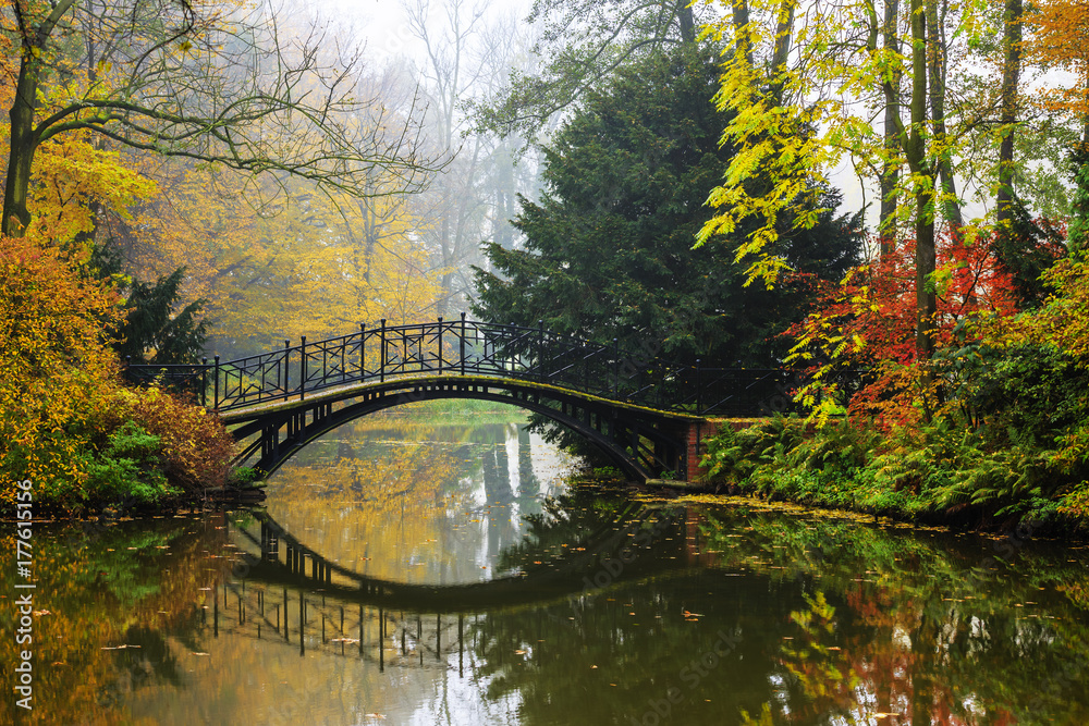 Obraz na płótnie Scenic view of misty autumn landscape with beautiful old bridge in the garden with red maple foliage. w salonie