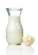 Milk kefir grains. milk kefir, or búlgaros, is a fermented milk drink that originated in the Caucasus Mountains made with kefir 