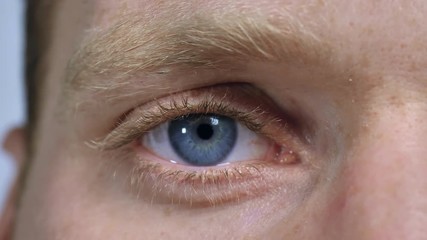 Poster - macro view male blue eye. close up nordic male face with pale skin