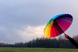 Fototapeta Tęcza - Umbrella in hand
