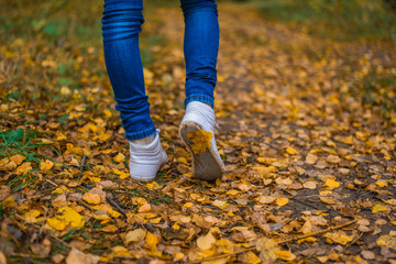 Wall Mural - A man stops walking. The girl's girlfriend's. Hot girls on the nature in the park among the leaves of yellow. Autumn park in bright colors.