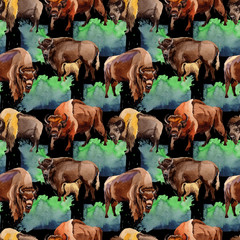 Exotic bison wild animal pattern in a watercolor style. Full name of the animal: bison, buffalo. Aquarelle wild animal for background, texture, wrapper pattern or tattoo.