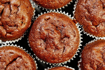 homemade chocolate cupcakes (muffin)