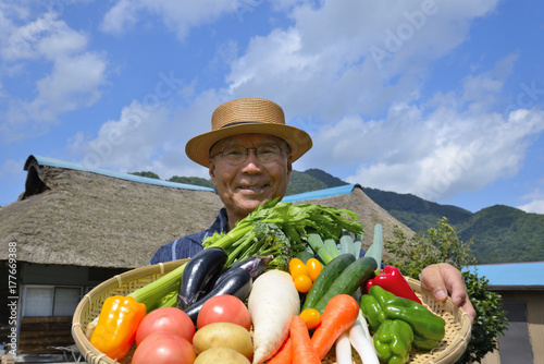 Zdjęcie XXL Uśmiechnięty senior, który zbiera warzywa w kraju żyjącym