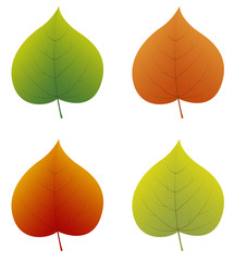 Wall Mural - colourful 3d linden leaves isolated on white background. vector.