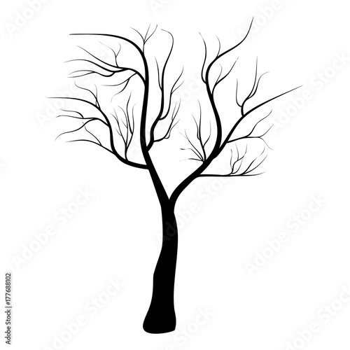 Download Bare Tree Icon Symbol Design. Vector illustration of tree isolated on white background. Black ...